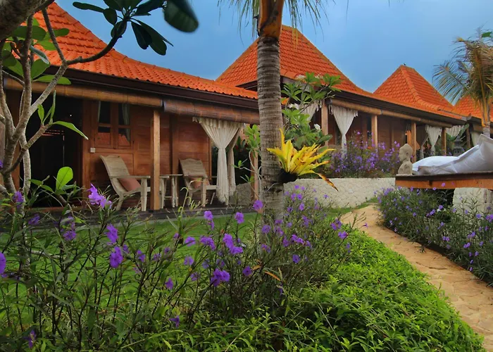 Yoga Searcher Bali